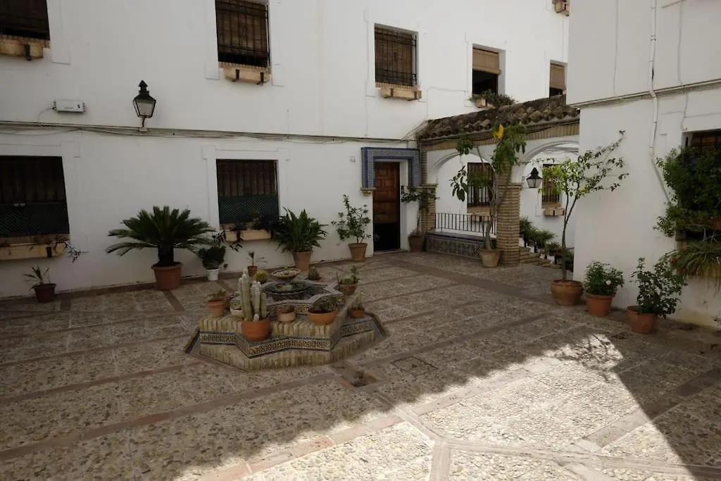 Medina Paradise location