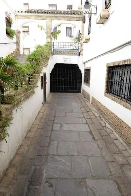 Medina Paradise Cordoba
